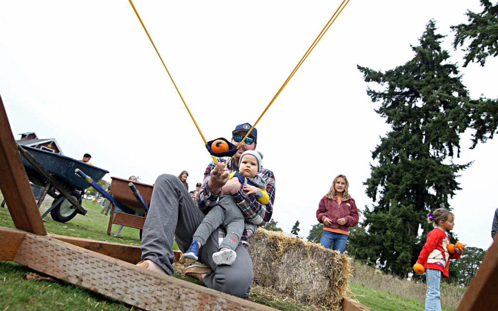 A man holding a child pulls back a slingshot with a small pumpkin in it ready to launch it into a field.